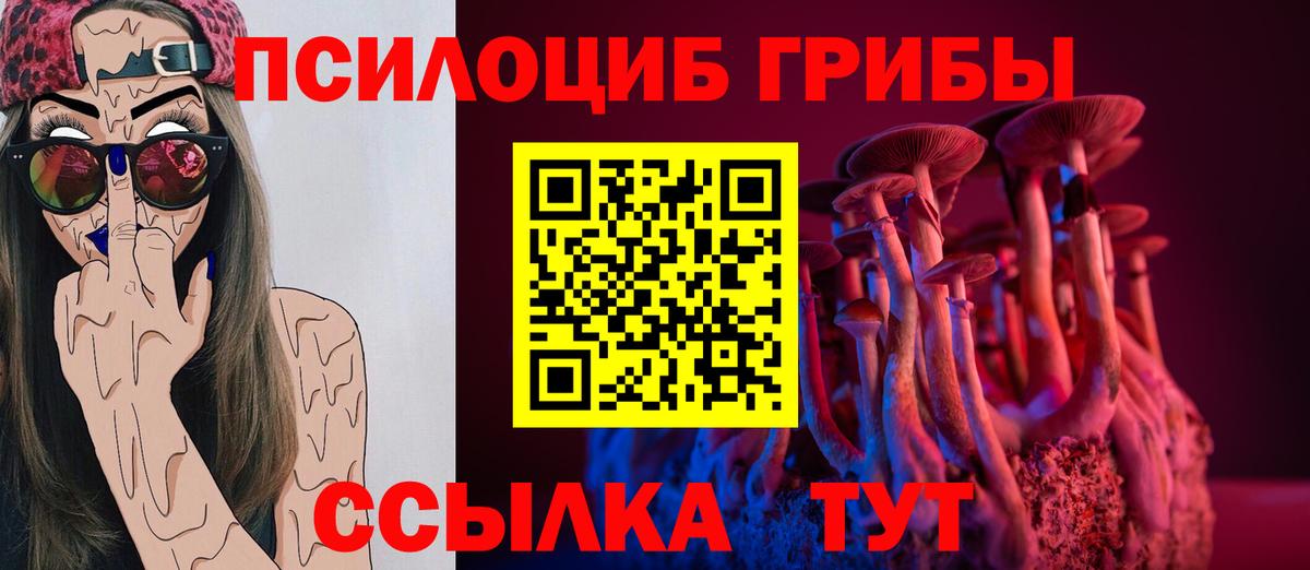 Домодедово  Псилоцибиновые грибы GOLDEN TEACHER  Вход с VPN  Псилоцибиновые грибы MAGIC MUSHROOMS 